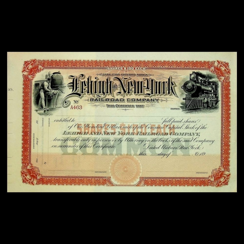 Lehigh and New York Railroad Company Unissued Stock Certificate 1890s
