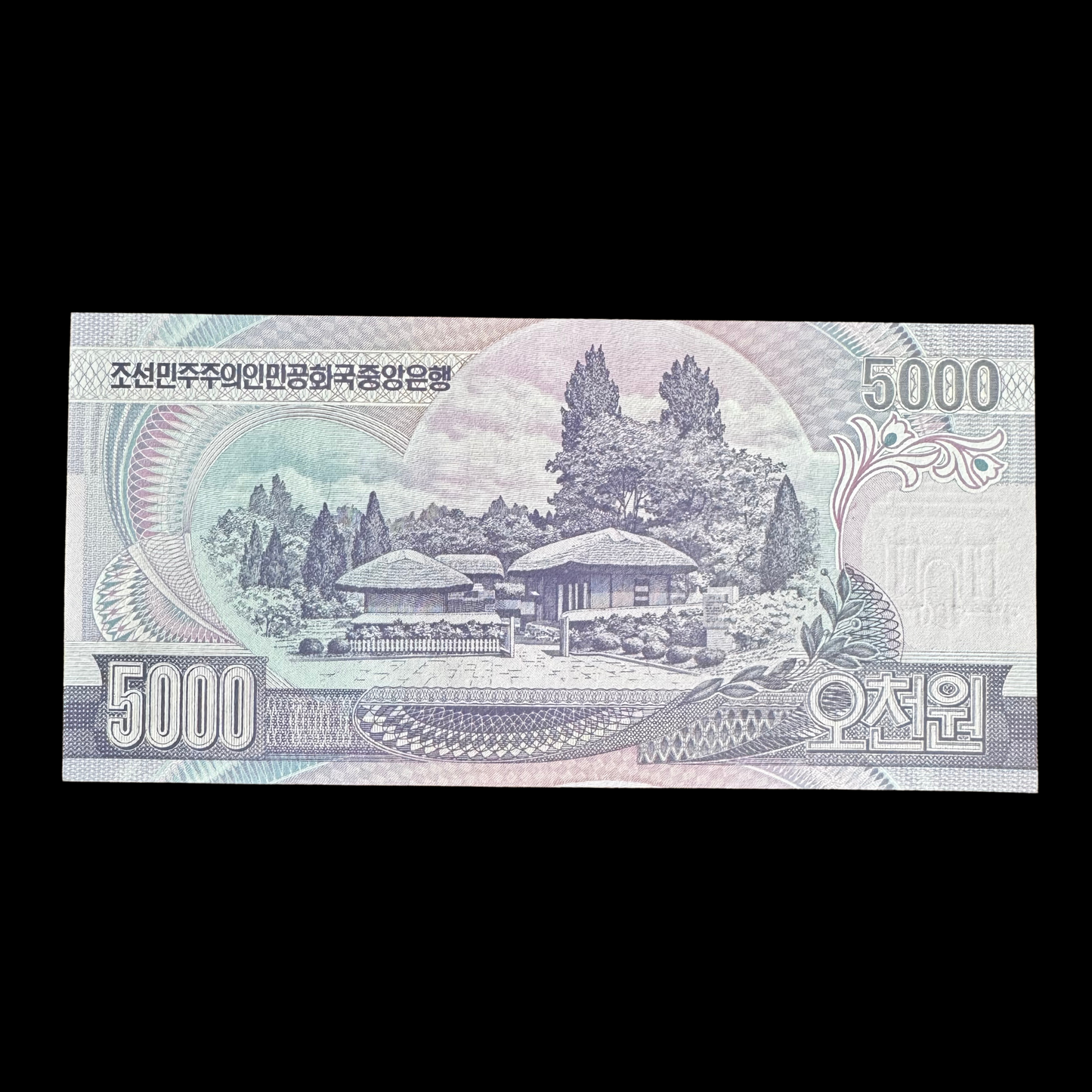 2006 年发行的 5,000 韩元韩国纸币,印有金日成像(未流通)