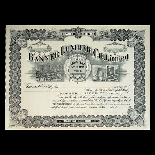 Banner Lumber Company Unissued Stock Certificate from 1896