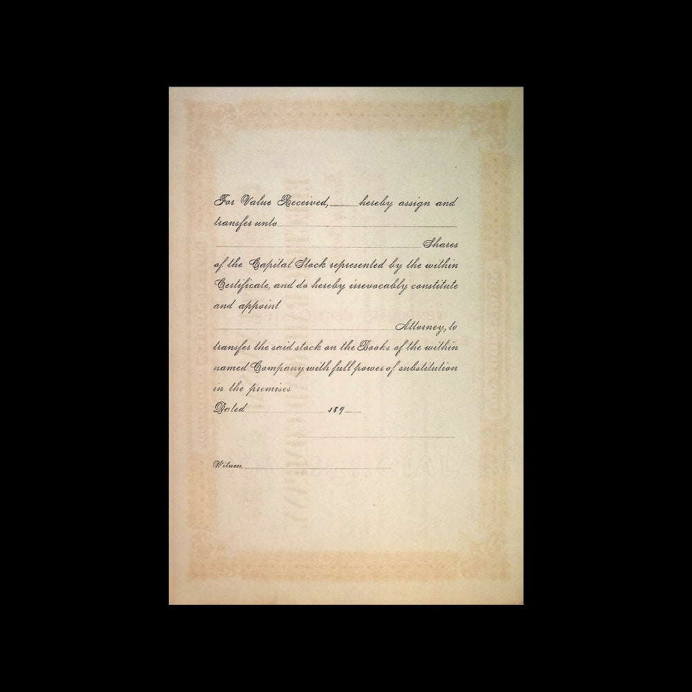 Nassau Electric Railroad Company (Early Brooklyn Trolly) Unissued Stock Certificate from 1890 - Brown