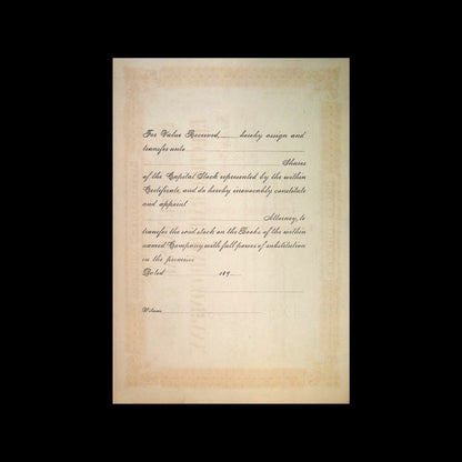 Nassau Electric Railroad Company (Early Brooklyn Trolly) Unissued Stock Certificate from 1890 - Brown
