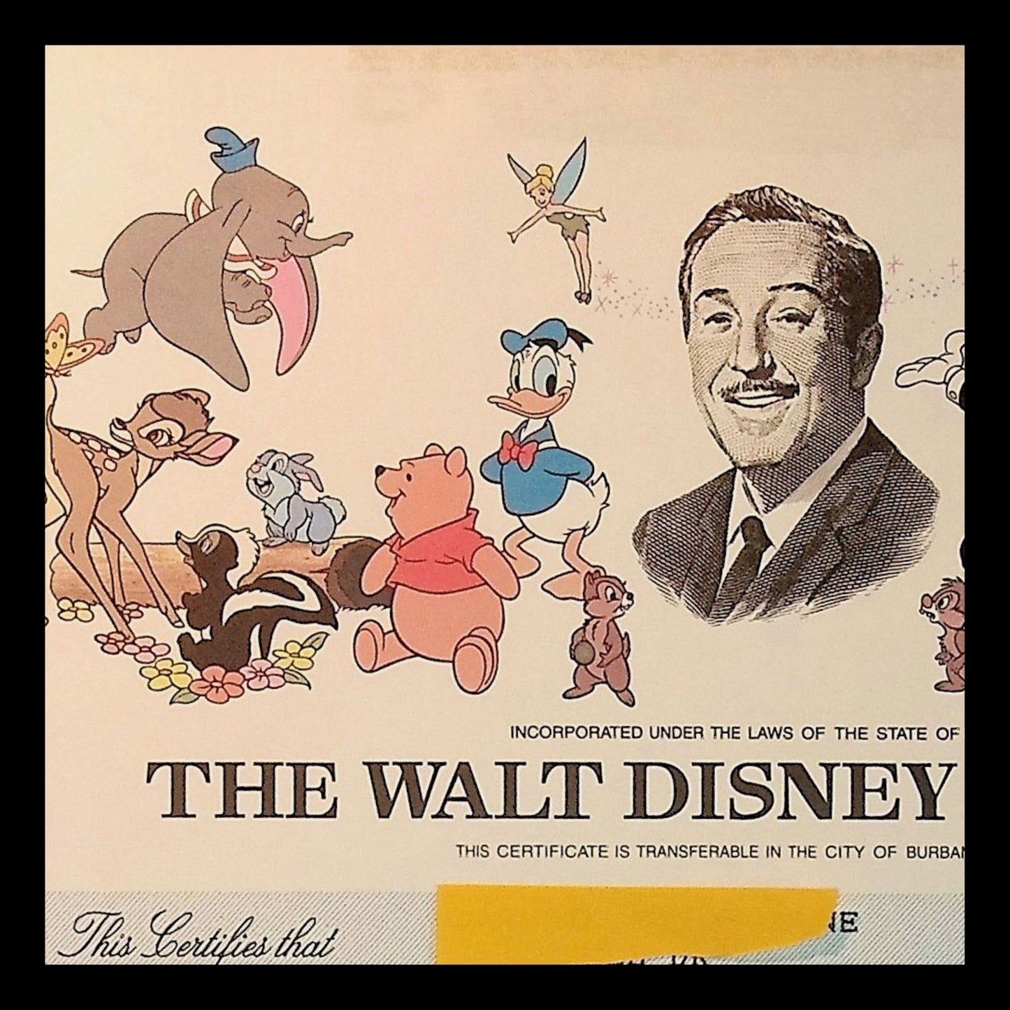 The Walt Disney Company Stock Certificates from 90s to 2000s ft Mickey Mouse and friends