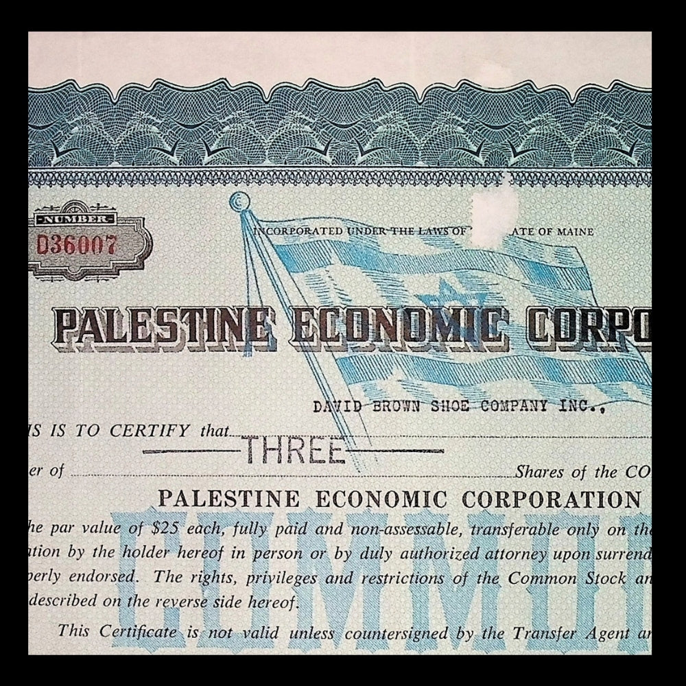 Palestine Economic Corporation Stock from 1960s with Israeli Flag