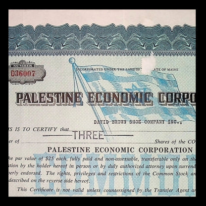 Palestine Economic Corporation Stock from 1960s with Israeli Flag