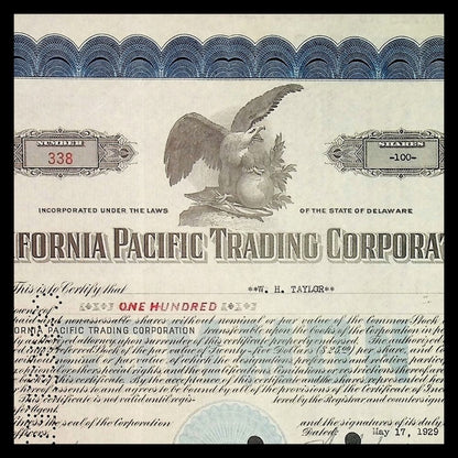 California Pacific Trading Corporation Stock Certificate from 1920s