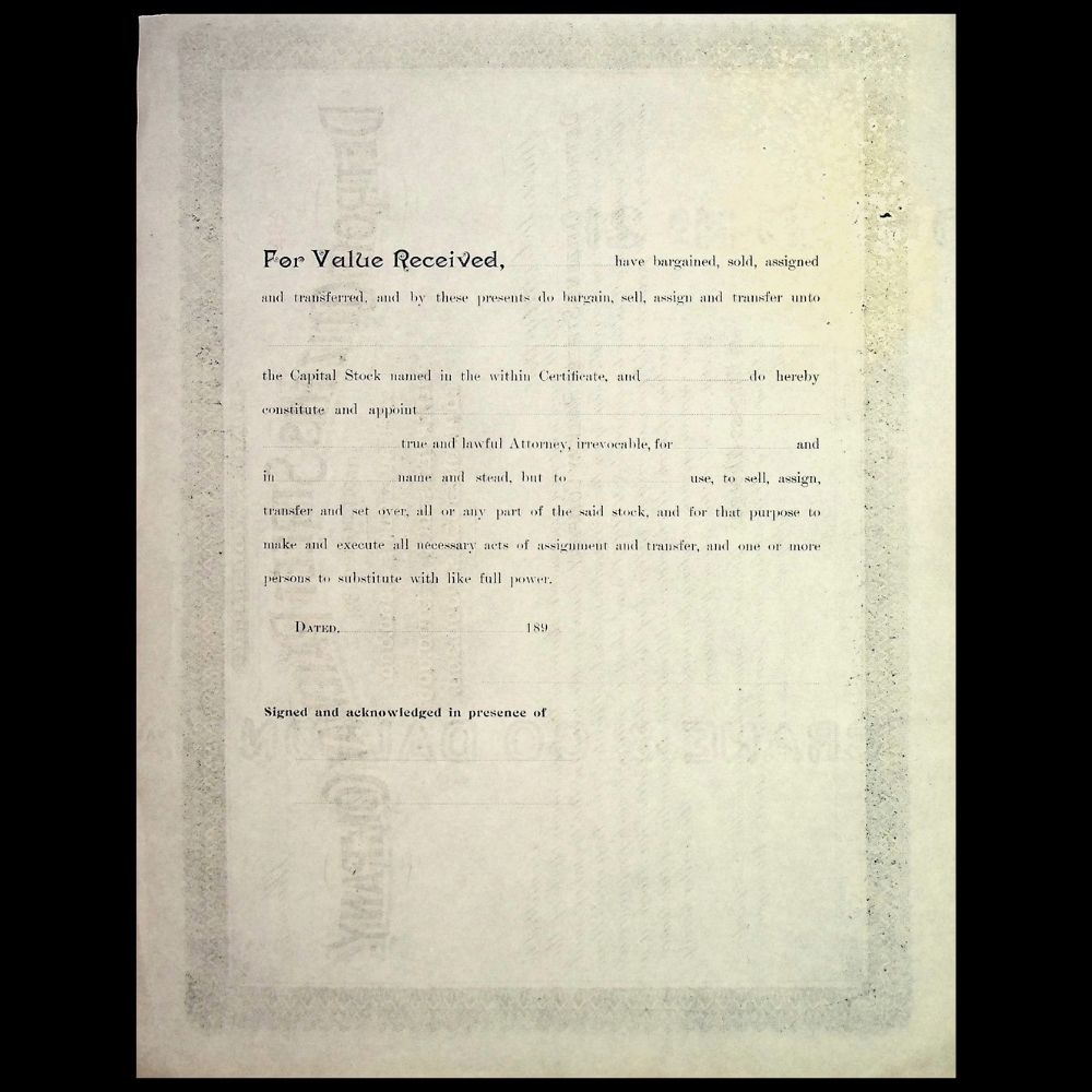 Davenport, Clinton, and Eastern Railway Company Unissued Stock Certificate 1800s