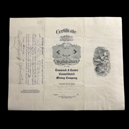 Tamarack & Custer Consolidated Mining Company Stock Certificate from Idaho 1916 Signed by Jerome Day