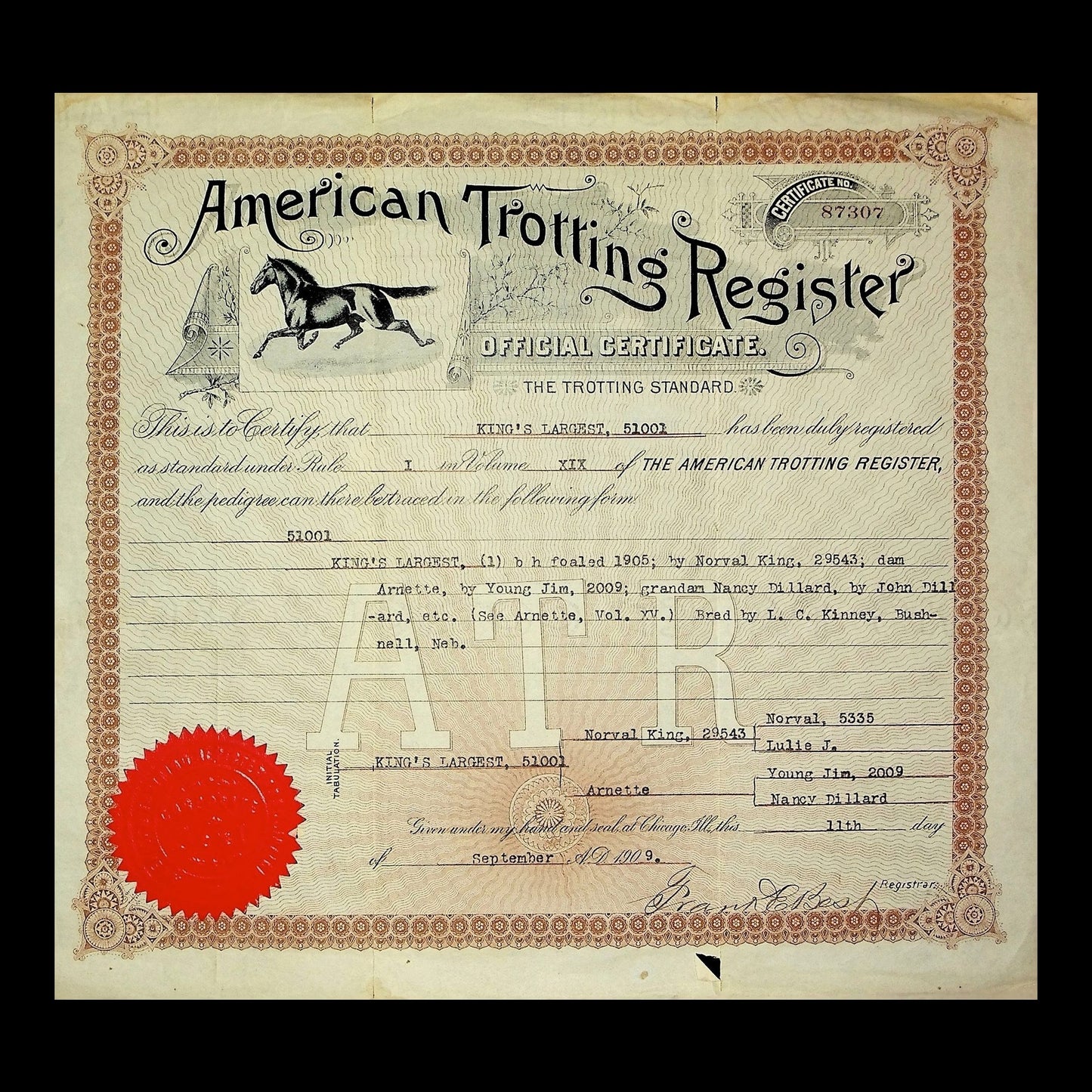 American Trotting Register Certificate from 1919