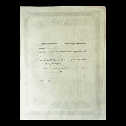 New York and Coney Island Railroad Company Stock Certificate