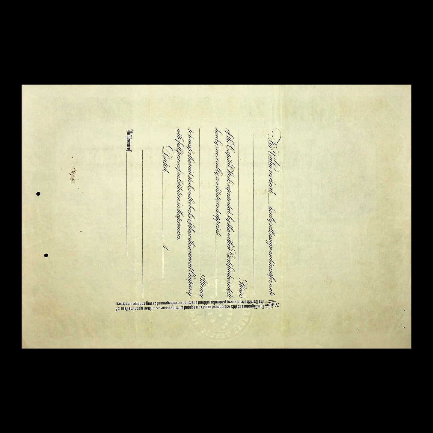 Siegel Stores Corporation Stock Certificate