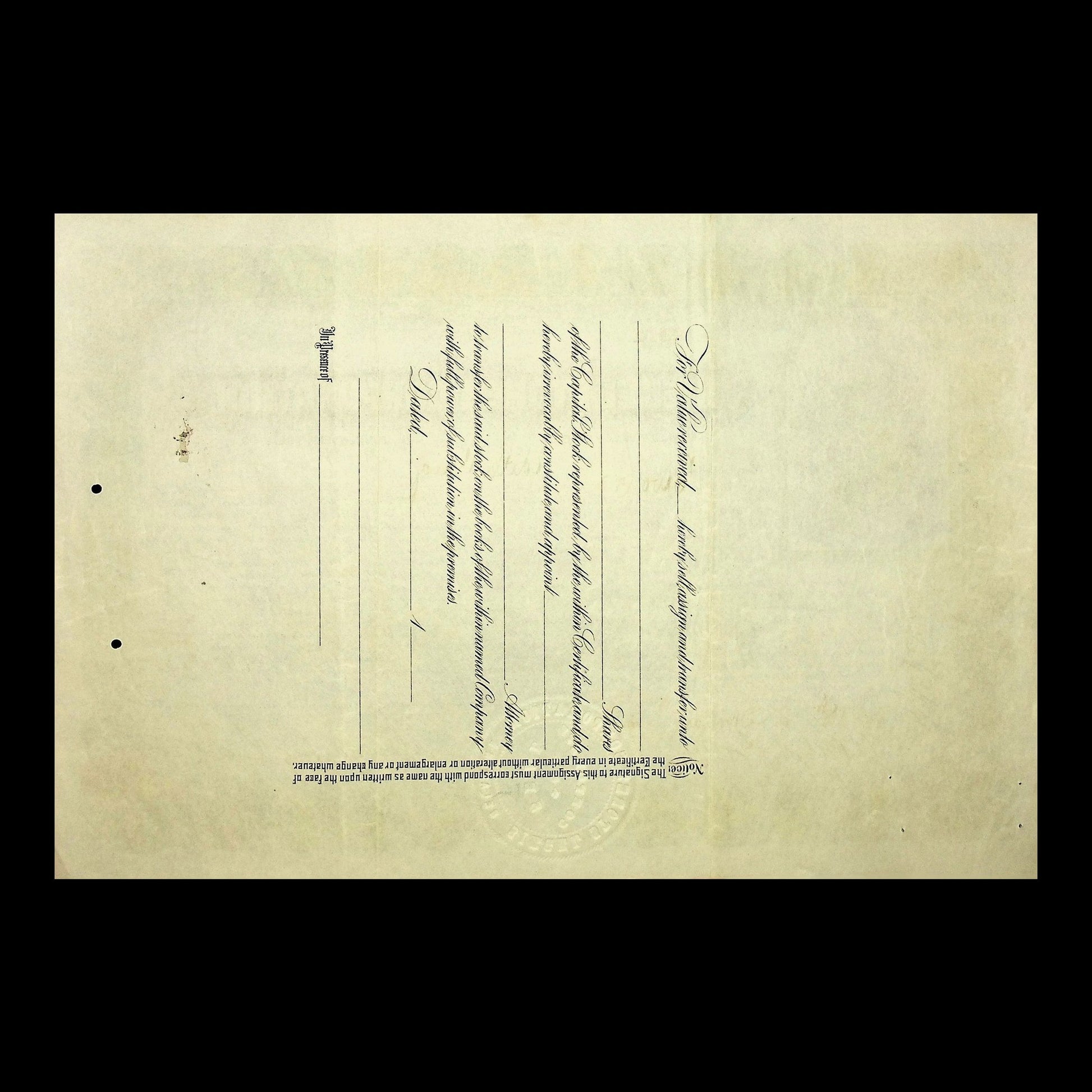 Siegel Stores Corporation Stock Certificate