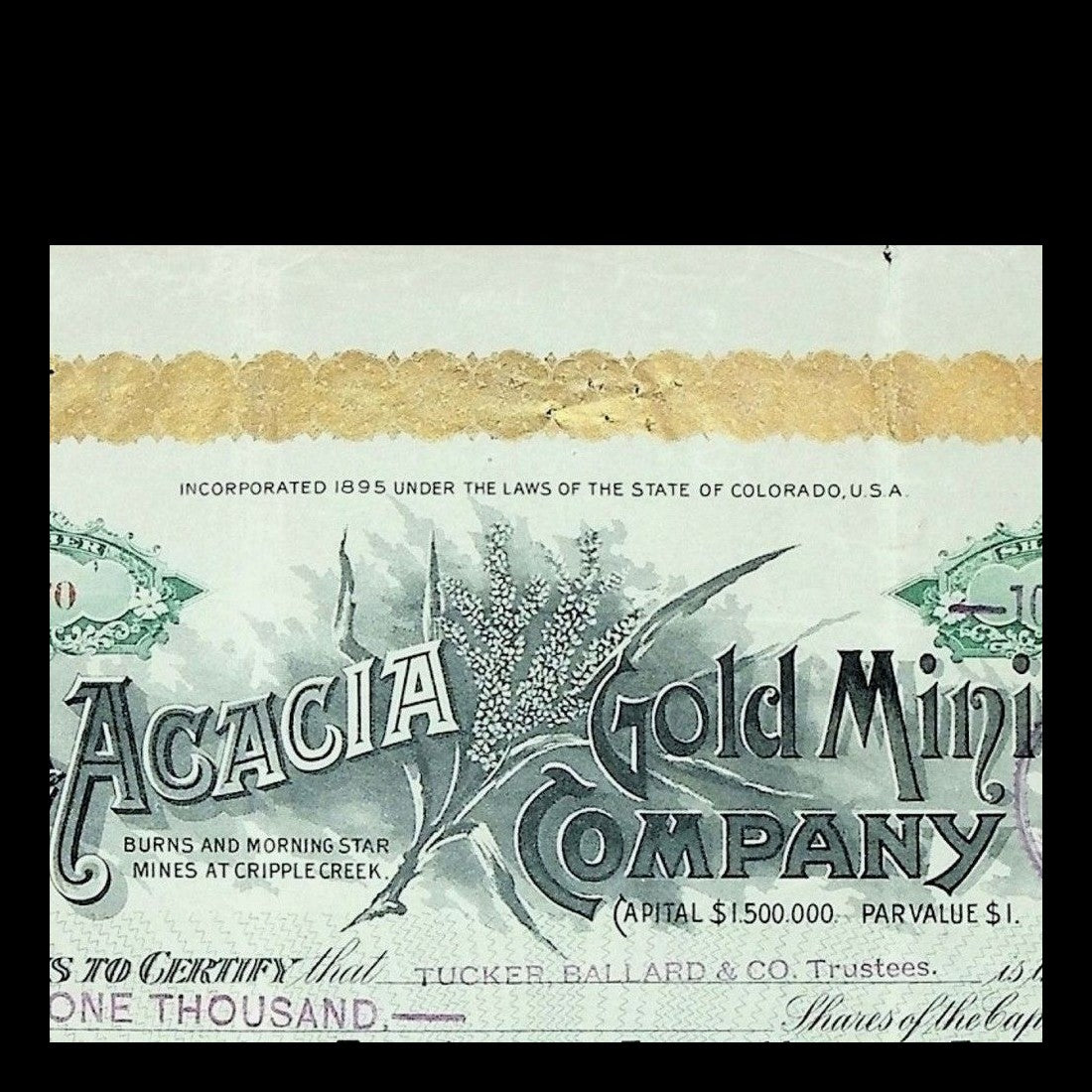 The Acacia Gold Mining Company Stock Certificate from 1899
