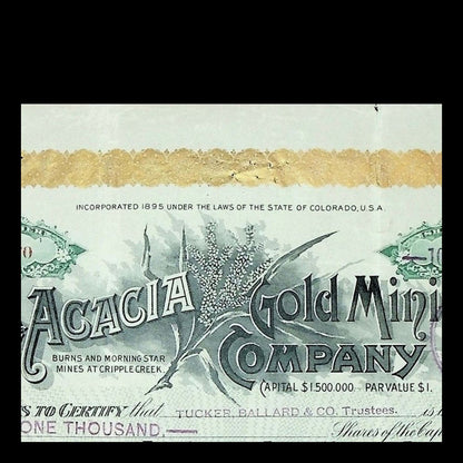 The Acacia Gold Mining Company Stock Certificate from 1899