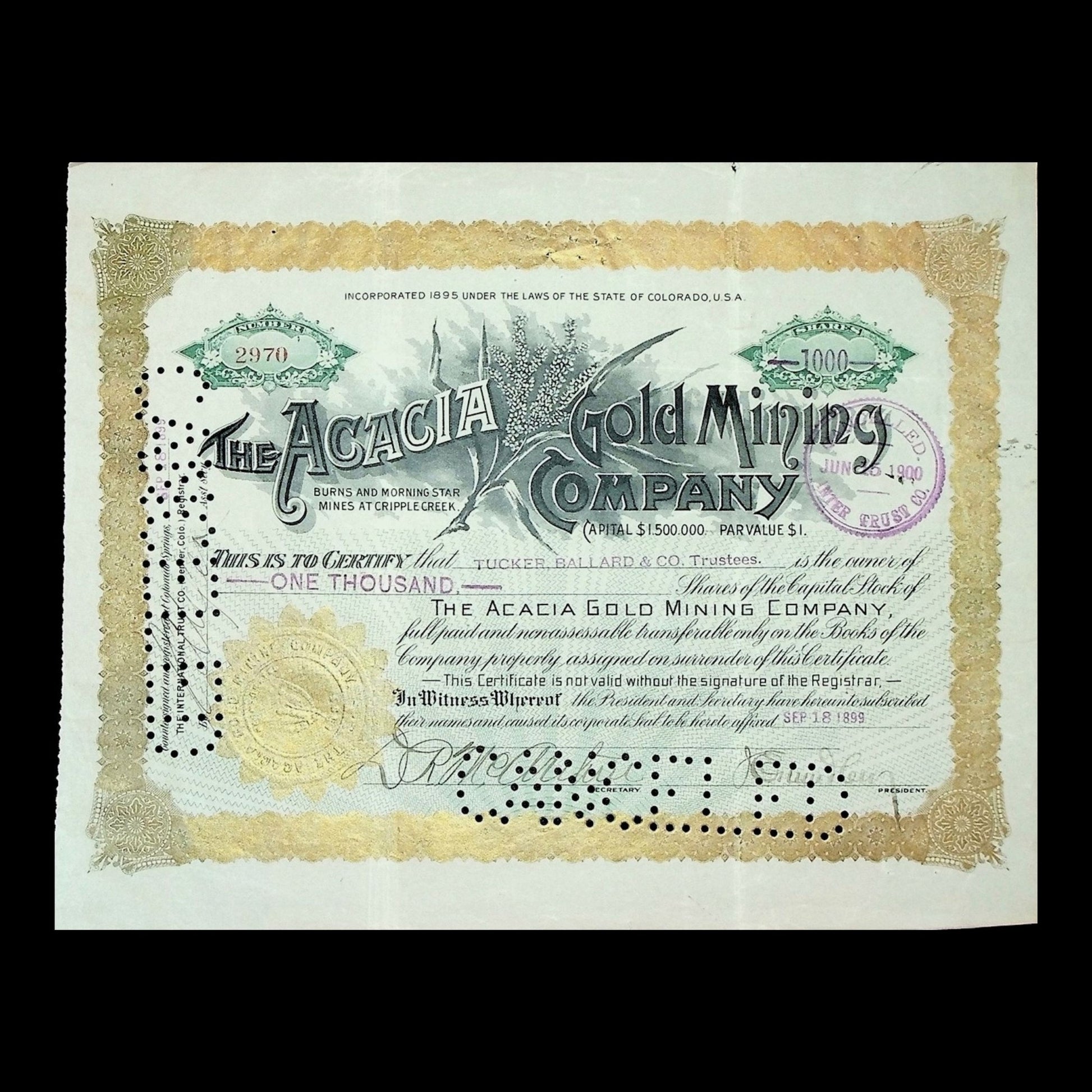 The Acacia Gold Mining Company Stock Certificate from 1899