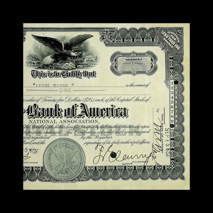 The Bank of America National Association Stock Certificate from 1909