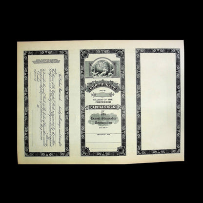 The Export Steamship Corporation Stock Certificate from 1910s